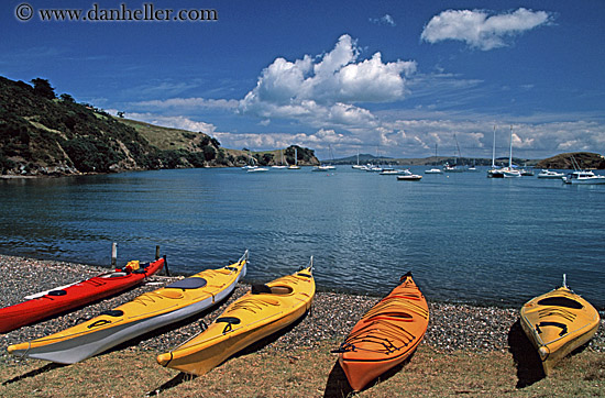kayaks-waiheke-island.jpg
