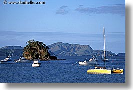 bay, bayof islands, boats, horizontal, islands, new zealand, photograph