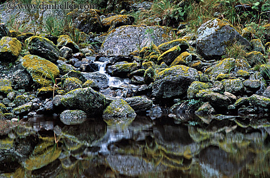 rocks-in-water-2.jpg