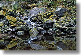 images/NewZealand/FoxGlacier/rocks-in-water-2.jpg