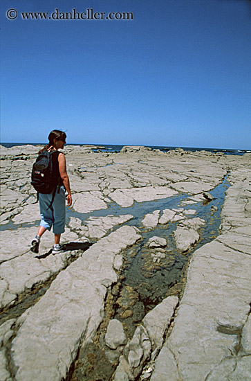 coastal-rock-trail-1.jpg