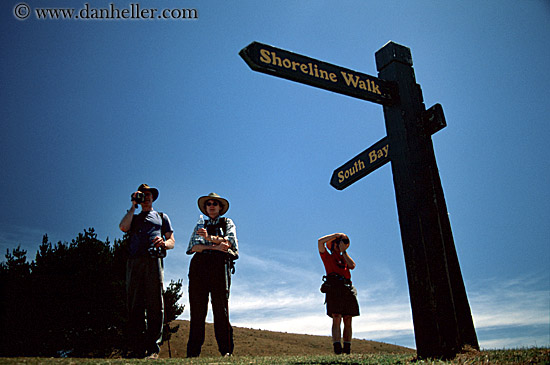 kaikoura-hikers-1.jpg