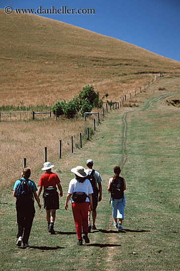 kaikoura-hikers-3.jpg