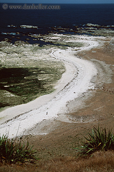 rocky-shoreline.jpg