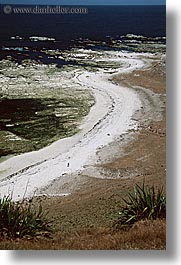 images/NewZealand/KaikouraPenninsula/rocky-shoreline.jpg