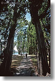 images/NewZealand/LakeWanaka/trees-01.jpg