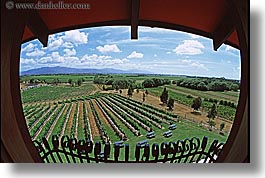 estates, highfield, horizontal, marlborough, new zealand, vineyards, photograph