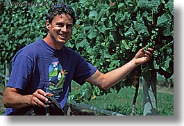 grapes, horizontal, marlborough, men, new zealand, vineyards, photograph