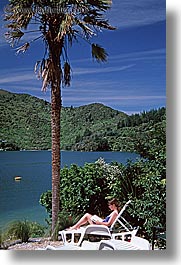 bay, lachmara, new zealand, queen charlotte, vertical, photograph