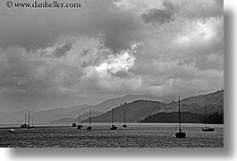 bay, black and white, horizontal, lachmara, new zealand, queen charlotte, photograph