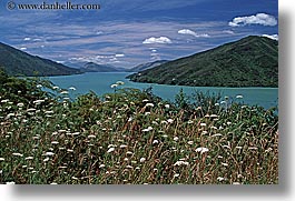 bay, horizontal, lachmara, new zealand, queen charlotte, photograph