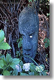 heads, new zealand, ponga, queen charlotte, vertical, photograph