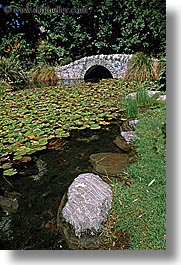 bridge, lillies, new zealand, pond, queenstown, vertical, photograph