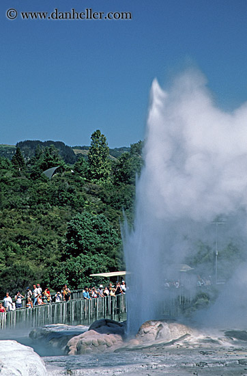 rotorua-guyser-1.jpg