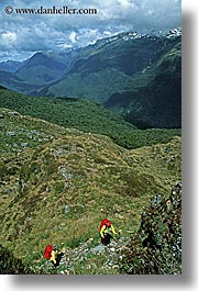 images/NewZealand/Routeburn/hikers-n-scenic-01.jpg