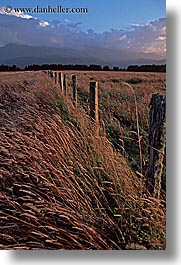 images/NewZealand/Scenics/grass-fence-wind.jpg