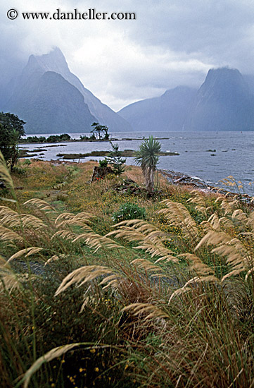 milford_sound-1.jpg