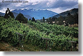 images/NewZealand/Scenics/mount-maude-vineyard.jpg