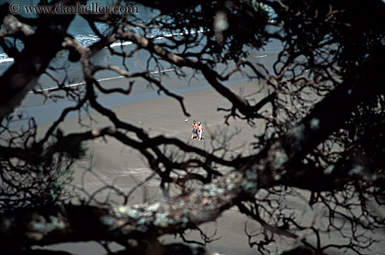 orewa-beach.jpg