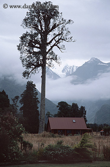 tree-n-house-mtns-fog.jpg