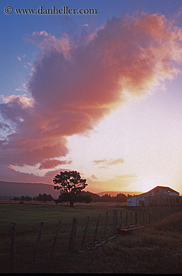 sunset-tree-farmhouse.jpg