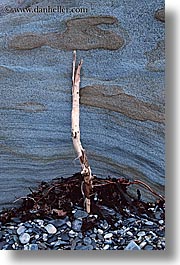 artsy, new zealand, rocks, vertical, wanganui coastal track, photograph