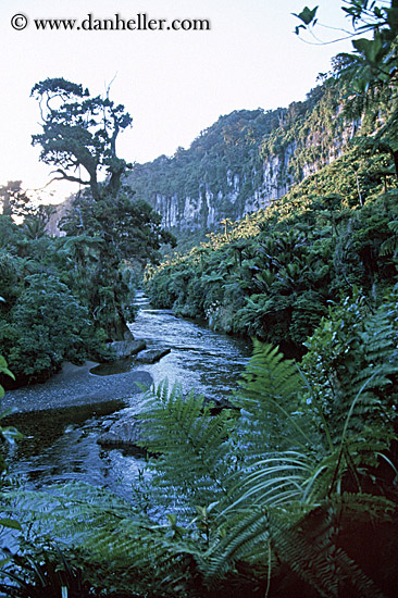 green-plants-n-river.jpg