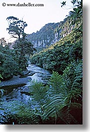 images/NewZealand/WanganuiCoastalTrack/green-plants-n-river.jpg