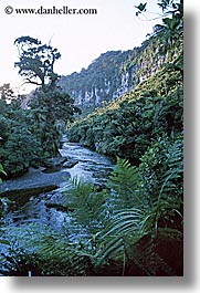 green, new zealand, plants, rivers, vertical, wanganui coastal track, photograph