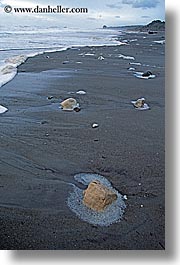 beaches, new zealand, rocks, vertical, wanganui coastal track, photograph