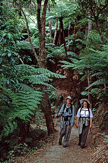 track-hikers-03.jpg
