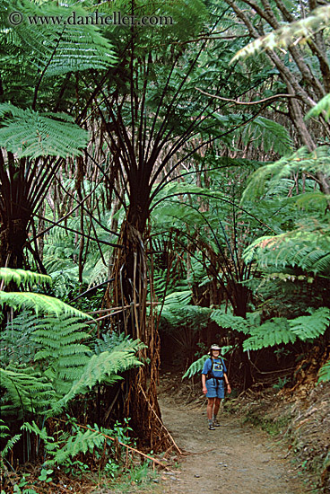 track-hikers-04.jpg