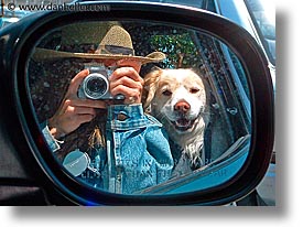 animals, dogs, horizontal, jills, mirrors, sammy, sideview, photograph