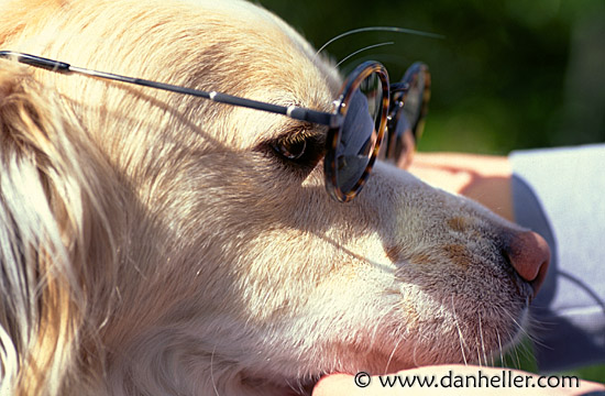 sam-profile-sunglasses.jpg