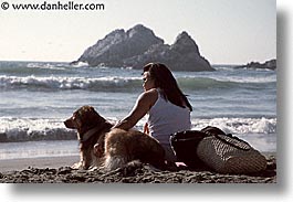 animals, beach dogs, canine, dogs, horizontal, owners, pals, photograph