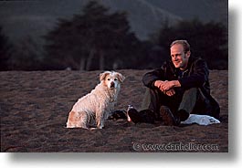 animals, beach dogs, canine, dogs, horizontal, owners, pals, photograph