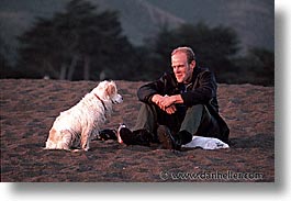 animals, beach dogs, canine, dogs, horizontal, owners, pals, photograph