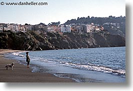 animals, beach dogs, canine, dogs, horizontal, owners, pals, photograph