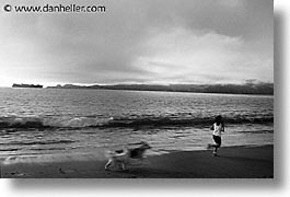 animals, beach dogs, black and white, canine, dogs, horizontal, running, photograph