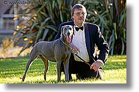 images/Topics/Pooches/Nox/dave-nox-lawn-3.jpg