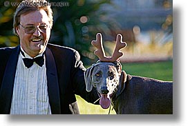 images/Topics/Pooches/Nox/nox-n-antlers-1.jpg