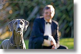 images/Topics/Pooches/Nox/nox-n-dave-1.jpg