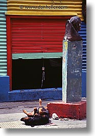 animals, argentina, buenos aires, buildings, canine, colorful, dogs, vertical, photograph