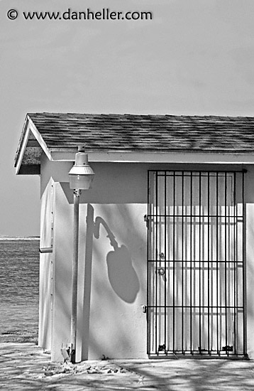 house-n-lamp-bw.jpg