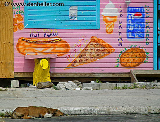 dog-n-food-mural.jpg