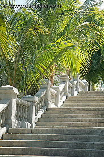 palm-steps.jpg