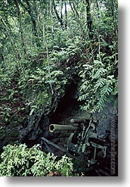 images/Tropics/Palau/JapanArtifacts/japan-canon-in-jungle.jpg