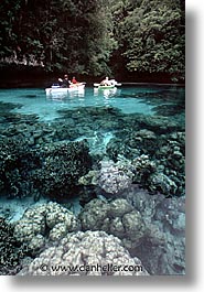 images/Tropics/Palau/Kayak/kayak-0019.jpg