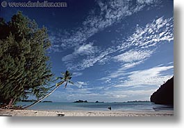 images/Tropics/Palau/Scenics/sunny-beach.jpg