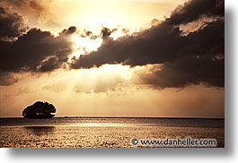 images/Tropics/Palau/Scenics/sunset-tree.jpg